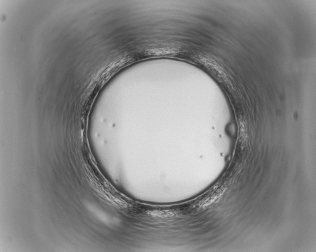 X0000059850733200511181538