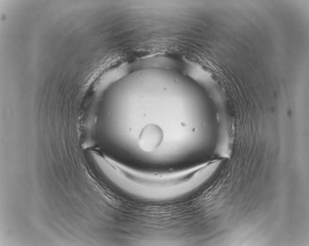 X0000059850735200511181538