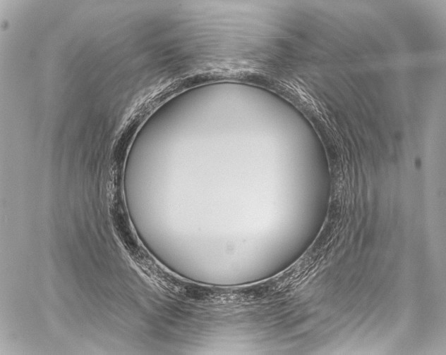 X0000059850736200511181538