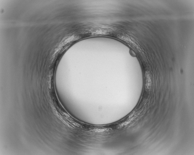 X0000059850738200511181538