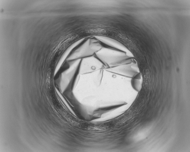 X0000059850739200511181538