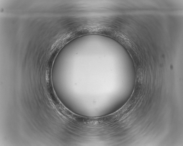 X0000059850740200511181538