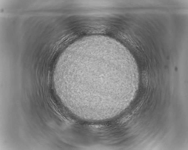 X0000059850741200511181538