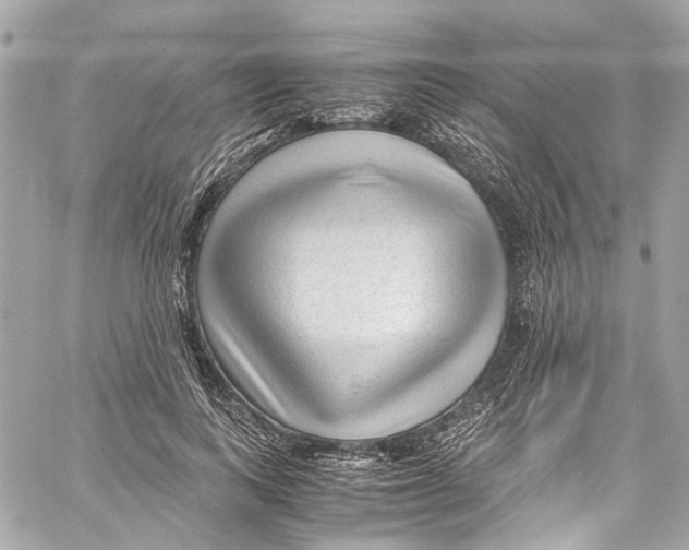 X0000059850743200511181538