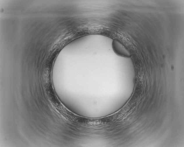 X0000059850744200511181538