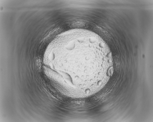 X0000059850745200511181538