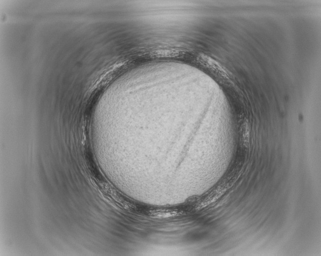 X0000059850746200511181538