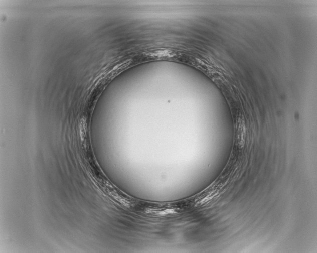 X0000059850747200511181538