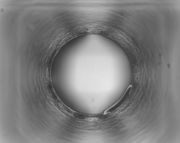 X0000059850748200511181538