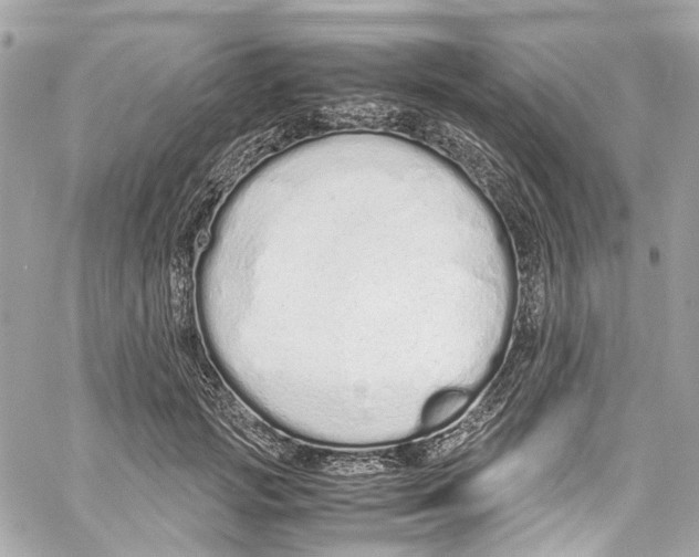 X0000059850749200511181538