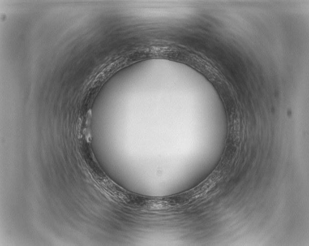 X0000059850750200511181538