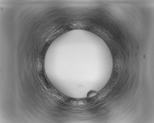 X0000059850751200511181538