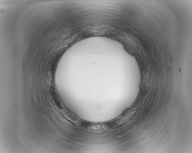 X0000059850752200511181538