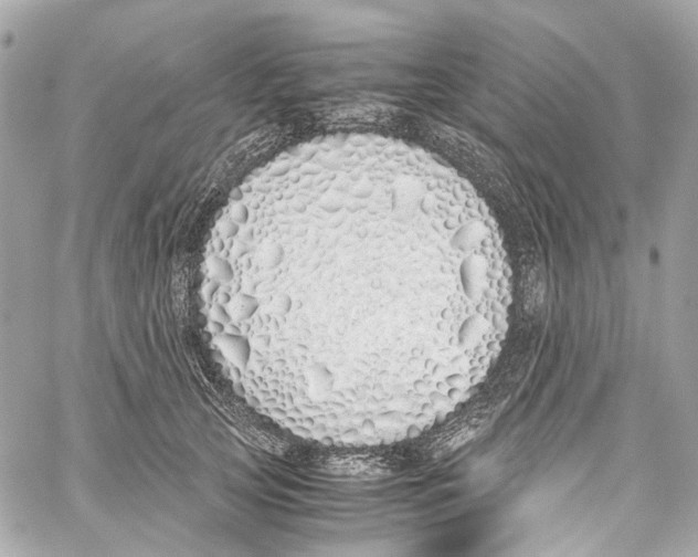 X0000059850753200511181538