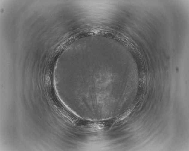 X0000059850754200511181538