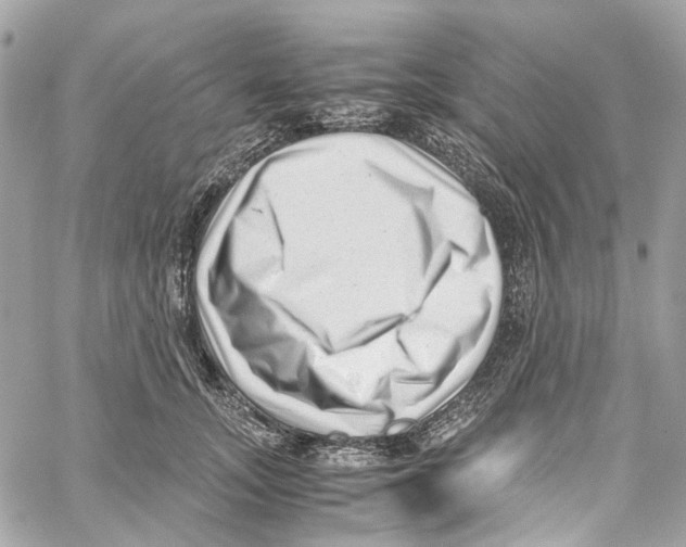 X0000059850755200511181538