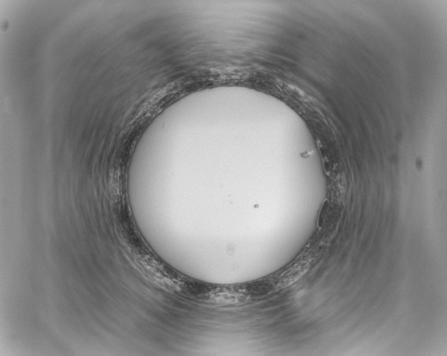 X0000059850756200511181538