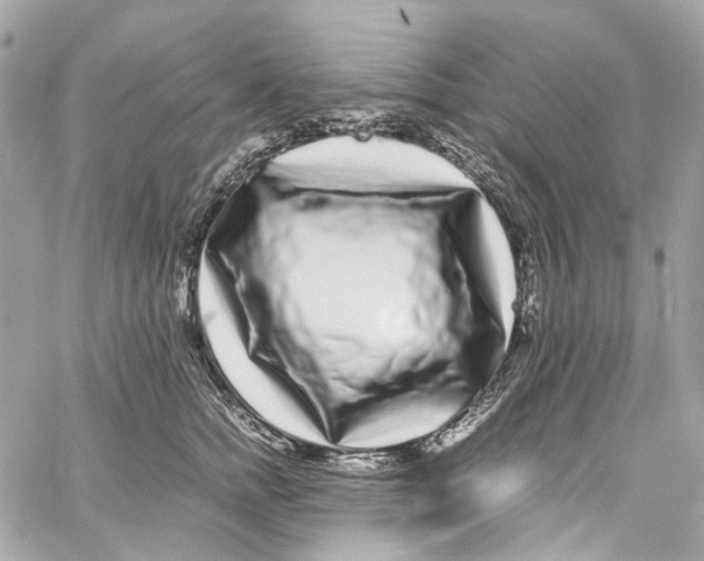 X0000059850758200511181538