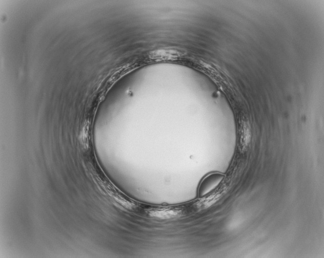 X0000059850759200511181538