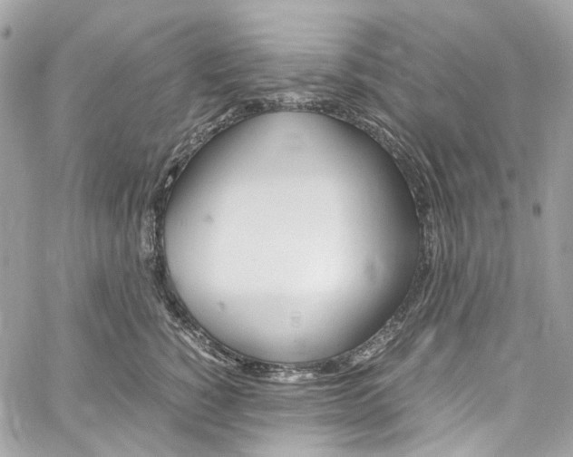 X0000059850760200511181538