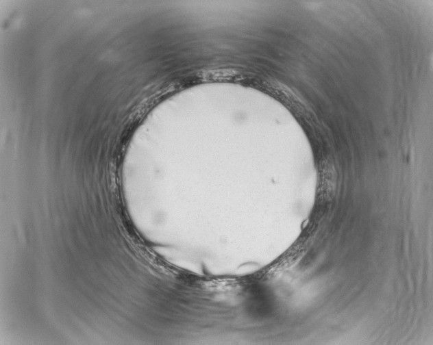 X0000059850761200511181538