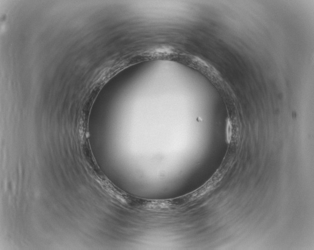 X0000059850762200511181538