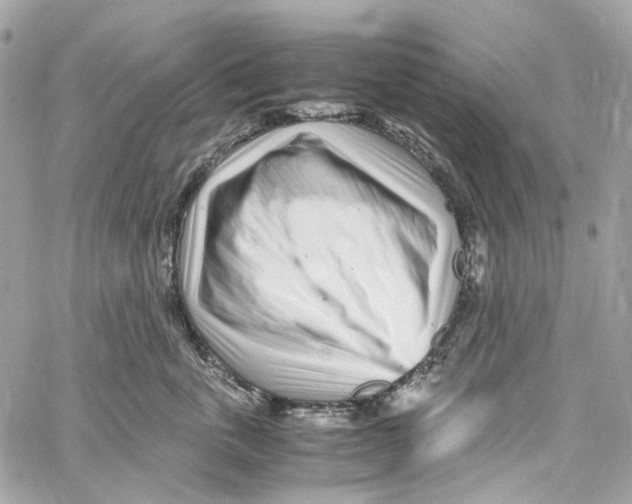 X0000059850763200511181538