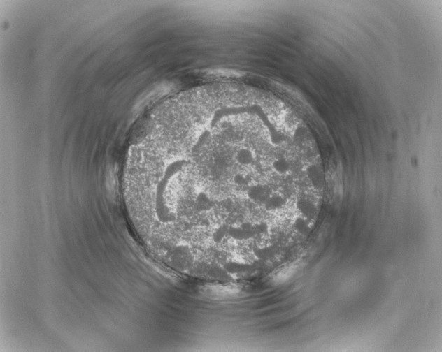 X0000059850765200511181538