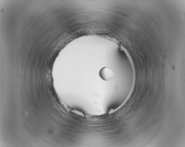 X0000059850766200511181538