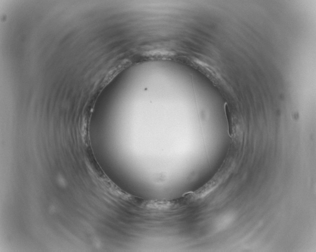 X0000059850767200511181538