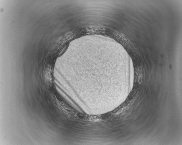 X0000059850770200511181537