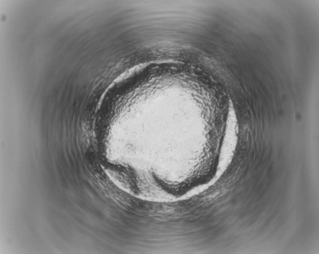 X0000059850772200511181537