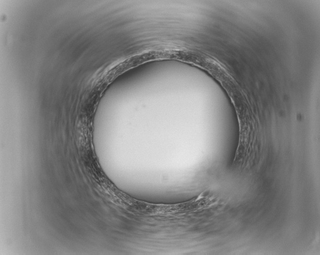 X0000059850773200511181537