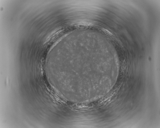 X0000059850774200511181537