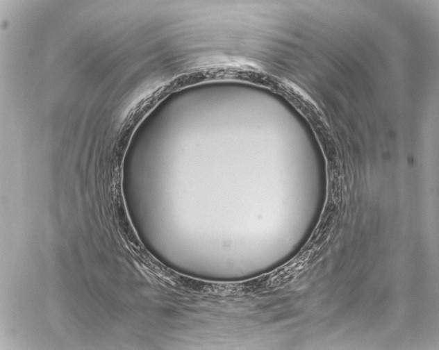 X0000059850775200511181537