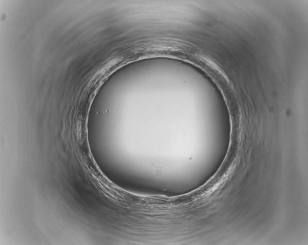 X0000059850777200511181537