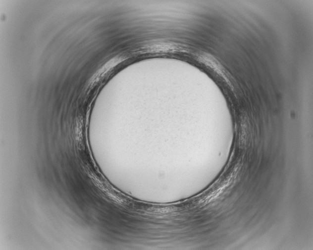 X0000059850778200511181537