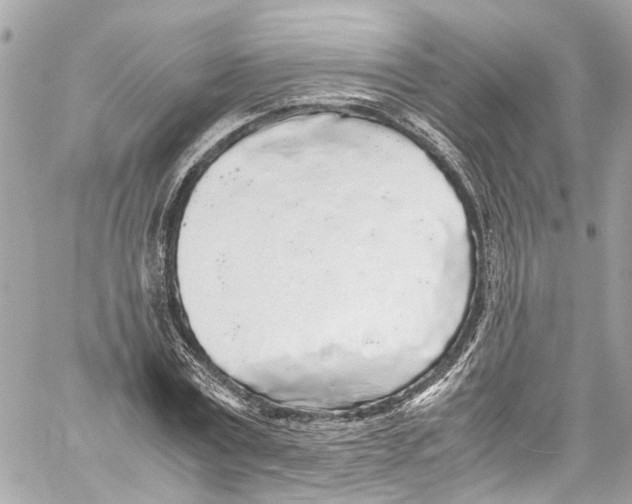 X0000059850779200511181537