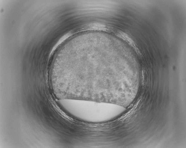 X0000059850780200511181537