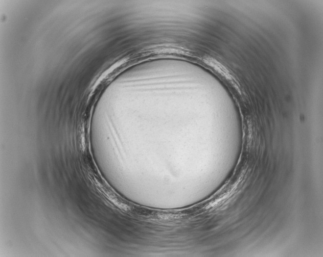 X0000059850782200511181537