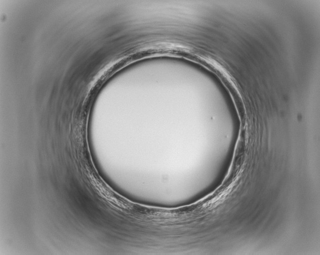 X0000059850783200511181537