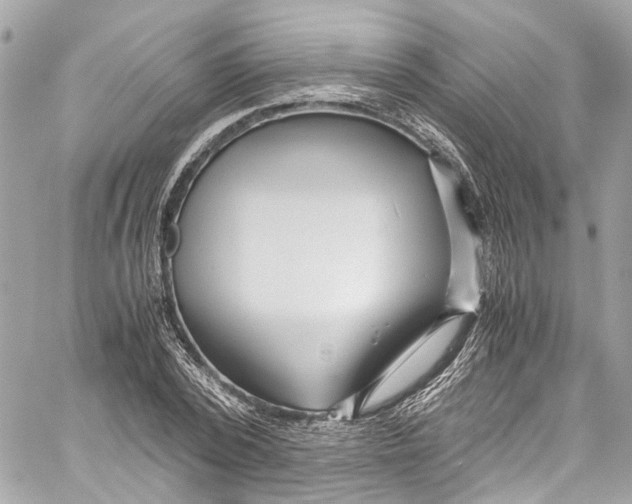 X0000059850784200511181537