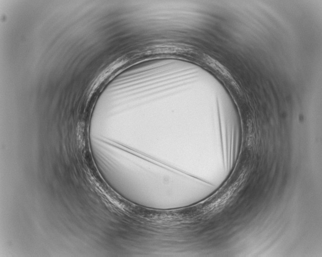 X0000059850786200511181537