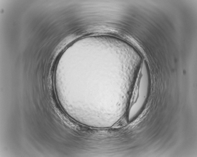 X0000059850787200511181537