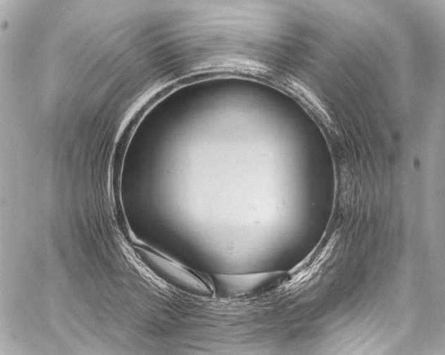 X0000059850788200511181537