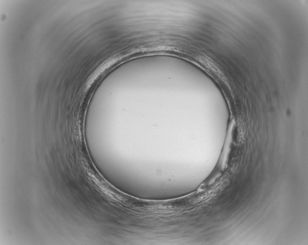 X0000059850789200511181537