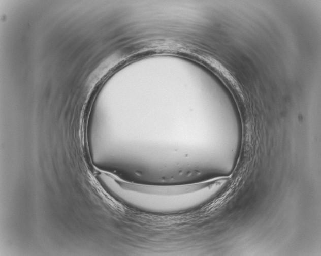 X0000059850791200511181537