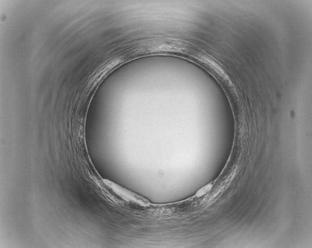 X0000059850793200511181537