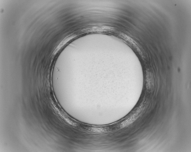 X0000059850794200511181537