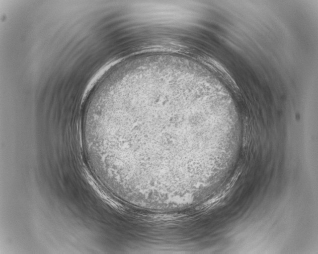 X0000059850796200511181537